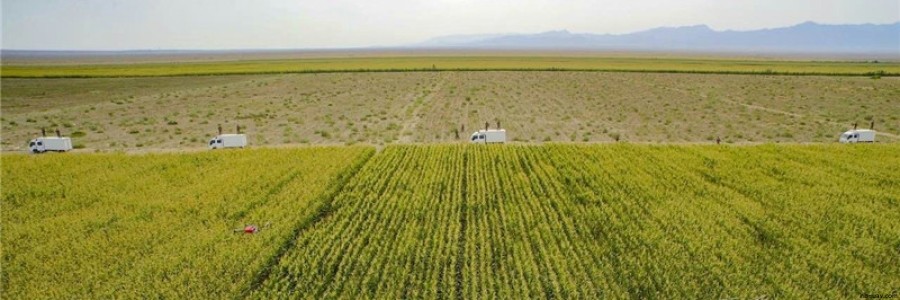 植保無人機如何突圍傳統(tǒng)農業(yè)